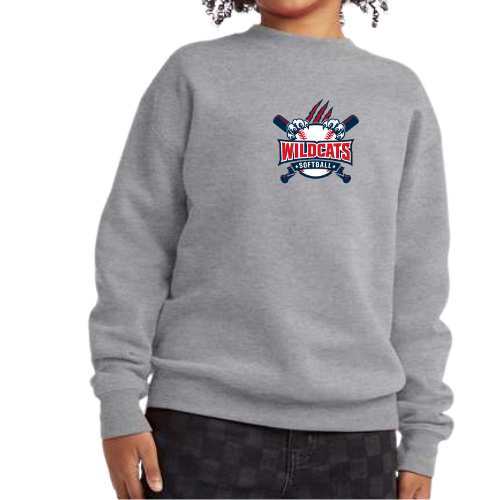 Hanes Youth EcoSmart® Crewneck Sweatshirt
