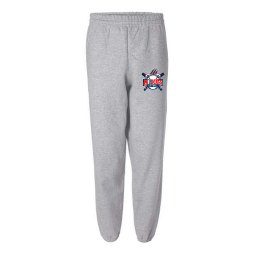 Hanes Unisex EcoSmart® Sweatpants