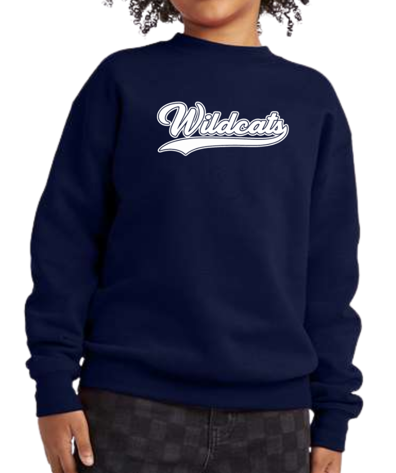 Hanes Youth EcoSmart® Crewneck Sweatshirt